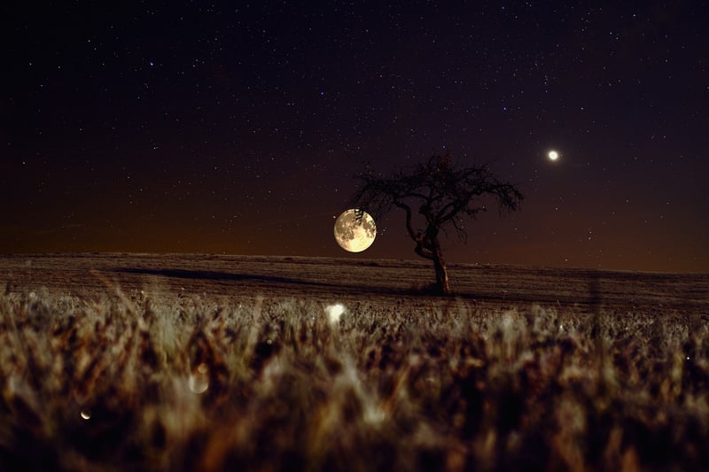 Moonlit Ceremony